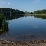 DSCF1295