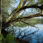 DSCF1296