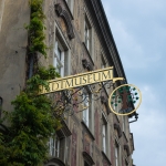DSCF1363