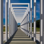 DSCF3799