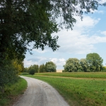 DSC01458