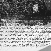 DSCF0010_4290