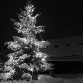 DSCF1587