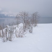 DSCF4326