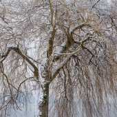 DSCF4327