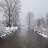 DSCF4329