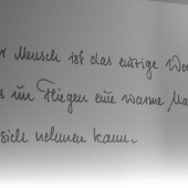 DSCF4393