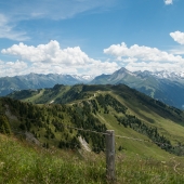 DSC02440