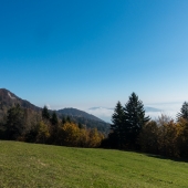 DSC03173