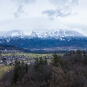 DSCF1796