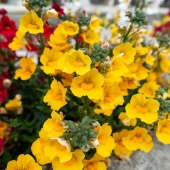 DSC03446