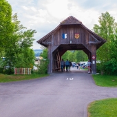 DSCF1921