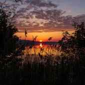 DSCF1936