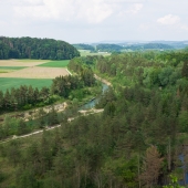 DSCF1965