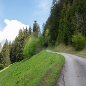 DSCF1985