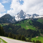 DSCF1987