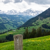 DSCF1988