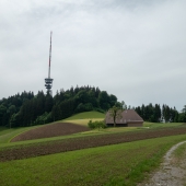 DSC03694