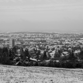 DSCF0130