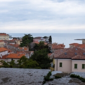 DSCF5873