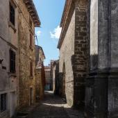DSC04321
