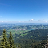 IMG_3671