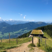 IMG_3674
