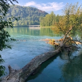 IMG_3776