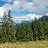 DSC04397