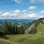 DSC04400