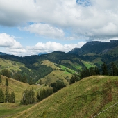 DSC04401