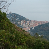 DSC04447