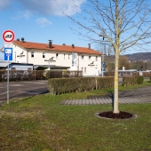 DSCF6112