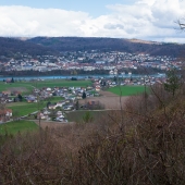 DSCF6119