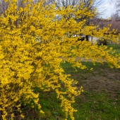 DSCF6130
