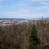 DSCF6136
