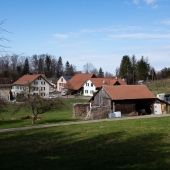 DSCF6137