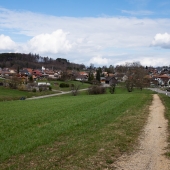 DSCF6138