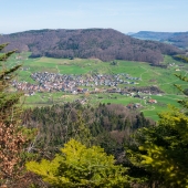 DSCF6159