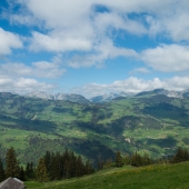 DSC04600