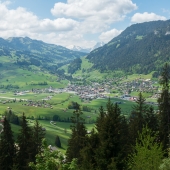 DSC04624