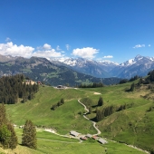 IMG_4903