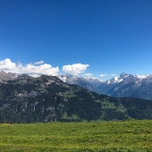IMG_4905