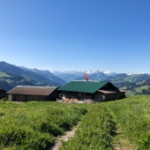 IMG_5337