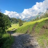IMG_5923