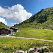 IMG_5925