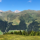 IMG_6057