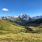 IMG_6736