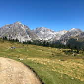 IMG_6795