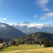 IMG_7064